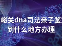 嘉峪关dna司法亲子鉴定到什么地方办理