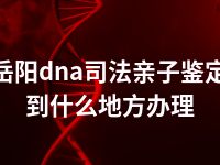 岳阳dna司法亲子鉴定到什么地方办理