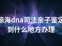 琼海dna司法亲子鉴定到什么地方办理