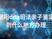 朝阳dna司法亲子鉴定到什么地方办理