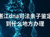 湛江dna司法亲子鉴定到什么地方办理