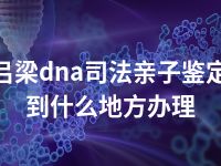 吕梁dna司法亲子鉴定到什么地方办理