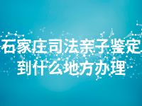 石家庄司法亲子鉴定到什么地方办理