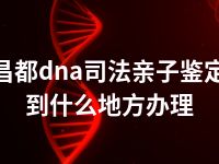 昌都dna司法亲子鉴定到什么地方办理