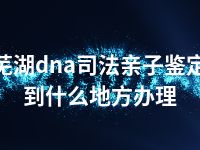 芜湖dna司法亲子鉴定到什么地方办理