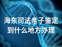 海东司法亲子鉴定到什么地方办理