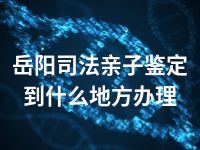 岳阳司法亲子鉴定到什么地方办理