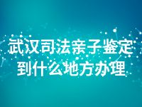 武汉司法亲子鉴定到什么地方办理