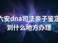 六安dna司法亲子鉴定到什么地方办理