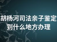 胡杨河司法亲子鉴定到什么地方办理