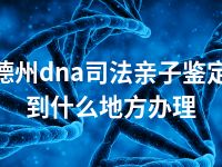 德州dna司法亲子鉴定到什么地方办理