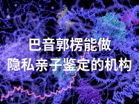 巴音郭楞能做隐私亲子鉴定的机构