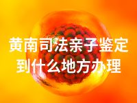 黄南司法亲子鉴定到什么地方办理