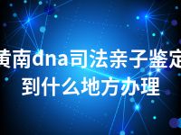 黄南dna司法亲子鉴定到什么地方办理