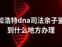 呼和浩特dna司法亲子鉴定到什么地方办理