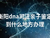 衡阳dna司法亲子鉴定到什么地方办理