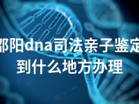 邵阳dna司法亲子鉴定到什么地方办理