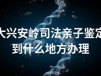 大兴安岭司法亲子鉴定到什么地方办理