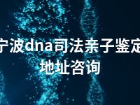 宁波dna司法亲子鉴定地址咨询