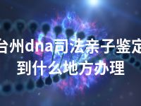 台州dna司法亲子鉴定到什么地方办理