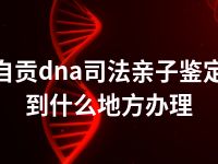 自贡dna司法亲子鉴定到什么地方办理