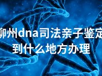 柳州dna司法亲子鉴定到什么地方办理