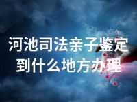 河池司法亲子鉴定到什么地方办理