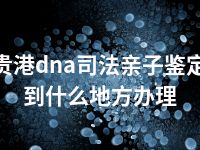 贵港dna司法亲子鉴定到什么地方办理