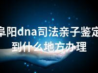 阜阳dna司法亲子鉴定到什么地方办理