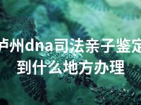 泸州dna司法亲子鉴定到什么地方办理