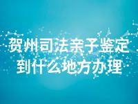 贺州司法亲子鉴定到什么地方办理