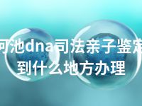 河池dna司法亲子鉴定到什么地方办理