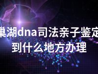 巢湖dna司法亲子鉴定到什么地方办理