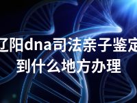 辽阳dna司法亲子鉴定到什么地方办理