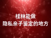 桂林能做隐私亲子鉴定的地方