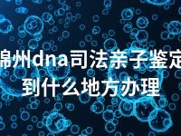 锦州dna司法亲子鉴定到什么地方办理