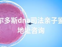 鄂尔多斯dna司法亲子鉴定地址咨询