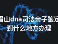 眉山dna司法亲子鉴定到什么地方办理