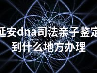 延安dna司法亲子鉴定到什么地方办理