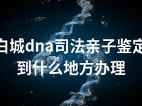 白城dna司法亲子鉴定到什么地方办理