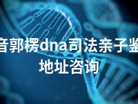 巴音郭楞dna司法亲子鉴定地址咨询