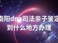 南阳dna司法亲子鉴定到什么地方办理