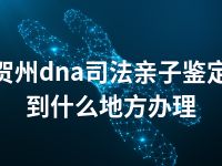 贺州dna司法亲子鉴定到什么地方办理