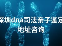 深圳dna司法亲子鉴定地址咨询