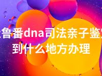 吐鲁番dna司法亲子鉴定到什么地方办理