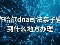 齐齐哈尔dna司法亲子鉴定到什么地方办理