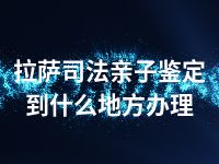 拉萨司法亲子鉴定到什么地方办理