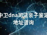 中卫dna司法亲子鉴定地址咨询