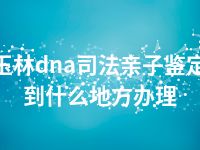 玉林dna司法亲子鉴定到什么地方办理