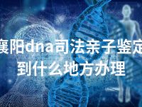 襄阳dna司法亲子鉴定到什么地方办理